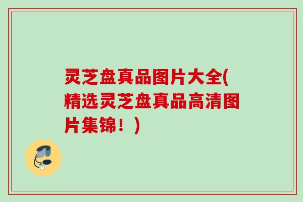 灵芝盘真品图片大全(精选灵芝盘真品高清图片集锦！)