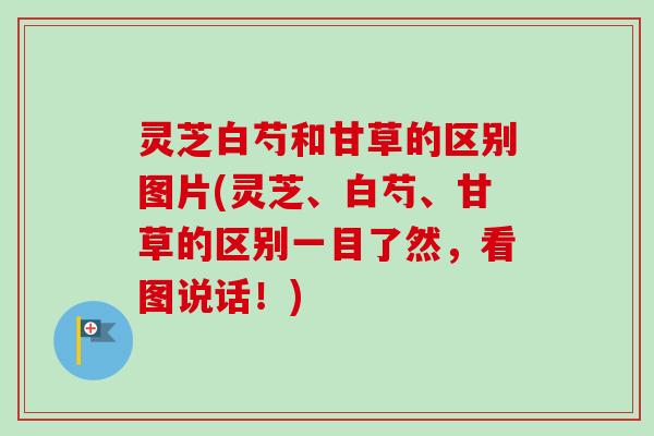 灵芝白芍和甘草的区别图片(灵芝、白芍、甘草的区别一目了然，看图说话！)