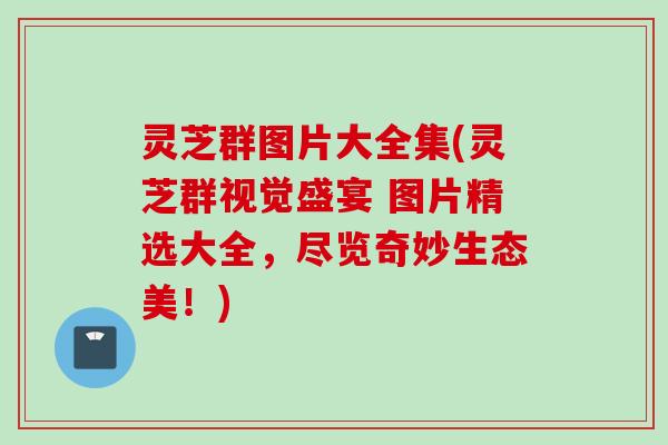灵芝群图片大全集(灵芝群视觉盛宴 图片精选大全，尽览奇妙生态美！)