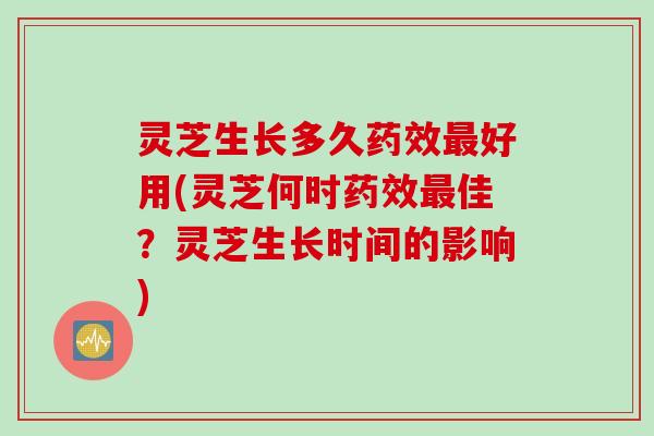 灵芝生长多久药效最好用(灵芝何时药效最佳？灵芝生长时间的影响)