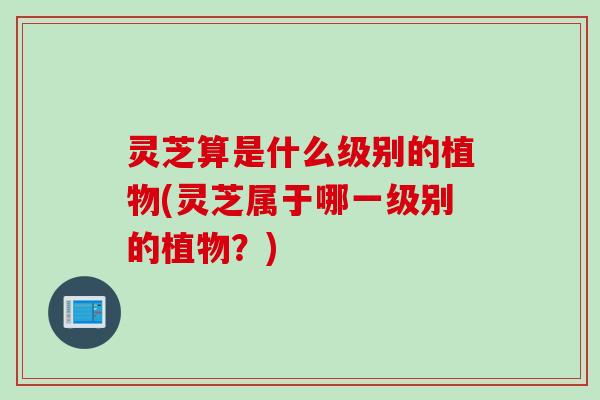 灵芝算是什么级别的植物(灵芝属于哪一级别的植物？)
