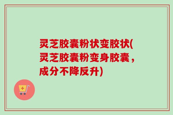 灵芝胶囊粉状变胶状(灵芝胶囊粉变身胶囊，成分不降反升)