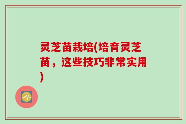 灵芝苗栽培(培育灵芝苗，这些技巧非常实用)