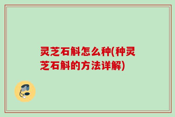 灵芝石斛怎么种(种灵芝石斛的方法详解)