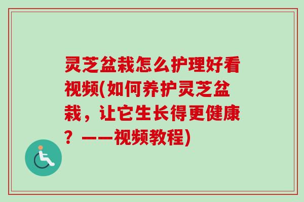 灵芝盆栽怎么护理好看视频(如何养护灵芝盆栽，让它生长得更健康？——视频教程)