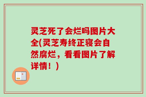 灵芝死了会烂吗图片大全(灵芝寿终正寝会自然腐烂，看看图片了解详情！)