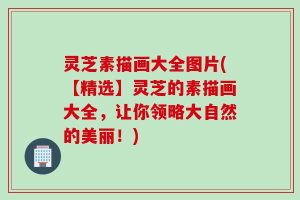 灵芝素描画大全图片(【精选】灵芝的素描画大全，让你领略大自然的美丽！)