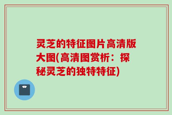 灵芝的特征图片高清版大图(高清图赏析：探秘灵芝的独特特征)