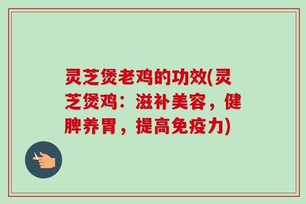 灵芝煲老鸡的功效(灵芝煲鸡：滋补美容，健脾养胃，提高免疫力)