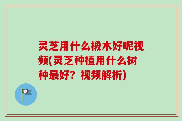 灵芝用什么椴木好呢视频(灵芝种植用什么树种最好？视频解析)