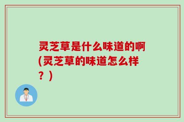 灵芝草是什么味道的啊(灵芝草的味道怎么样？)