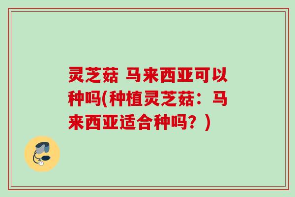 灵芝菇 马来西亚可以种吗(种植灵芝菇：马来西亚适合种吗？)