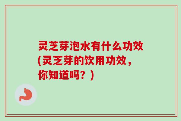 灵芝芽泡水有什么功效(灵芝芽的饮用功效，你知道吗？)