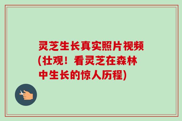 灵芝生长真实照片视频(壮观！看灵芝在森林中生长的惊人历程)