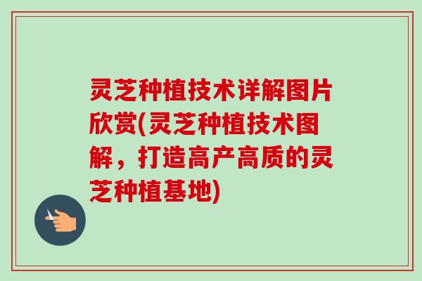 灵芝种植技术详解图片欣赏(灵芝种植技术图解，打造高产高质的灵芝种植基地)