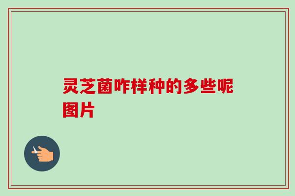 灵芝菌咋样种的多些呢图片