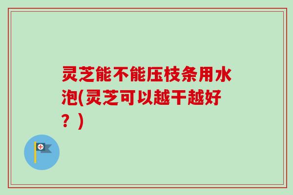 灵芝能不能压枝条用水泡(灵芝可以越干越好？)