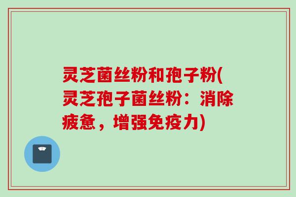 灵芝菌丝粉和孢子粉(灵芝孢子菌丝粉：消除疲惫，增强免疫力)