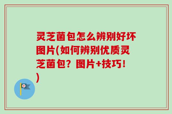 灵芝菌包怎么辨别好坏图片(如何辨别优质灵芝菌包？图片+技巧！)