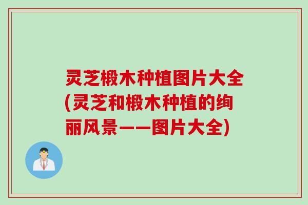 灵芝椴木种植图片大全(灵芝和椴木种植的绚丽风景——图片大全)