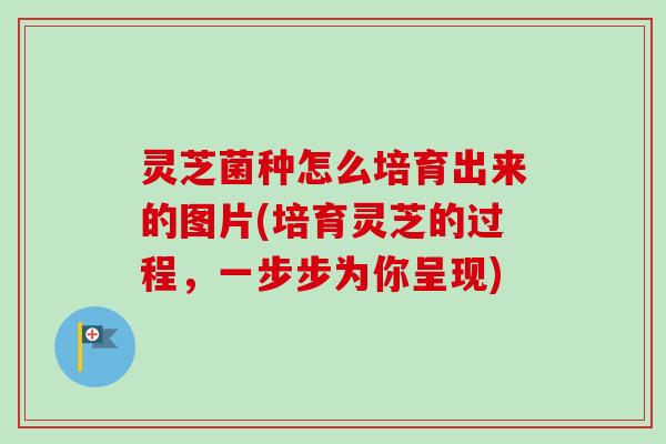 灵芝菌种怎么培育出来的图片(培育灵芝的过程，一步步为你呈现)