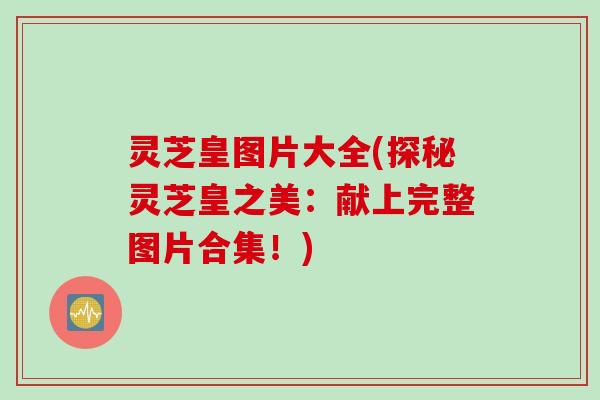 灵芝皇图片大全(探秘灵芝皇之美：献上完整图片合集！)