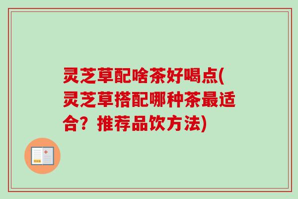 灵芝草配啥茶好喝点(灵芝草搭配哪种茶最适合？推荐品饮方法)