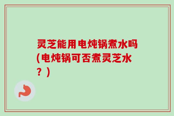 灵芝能用电炖锅煮水吗(电炖锅可否煮灵芝水？)