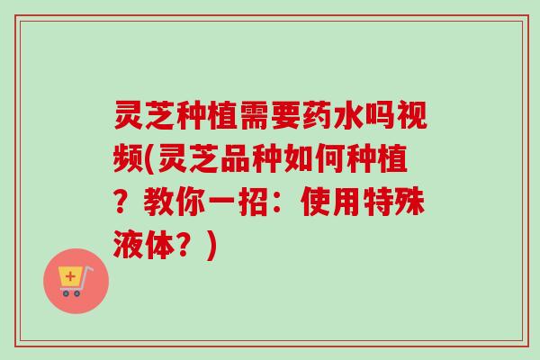 灵芝种植需要药水吗视频(灵芝品种如何种植？教你一招：使用特殊液体？)