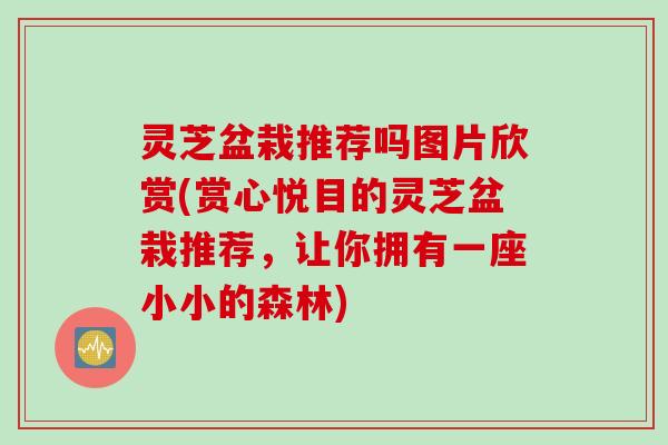 灵芝盆栽推荐吗图片欣赏(赏心悦目的灵芝盆栽推荐，让你拥有一座小小的森林)