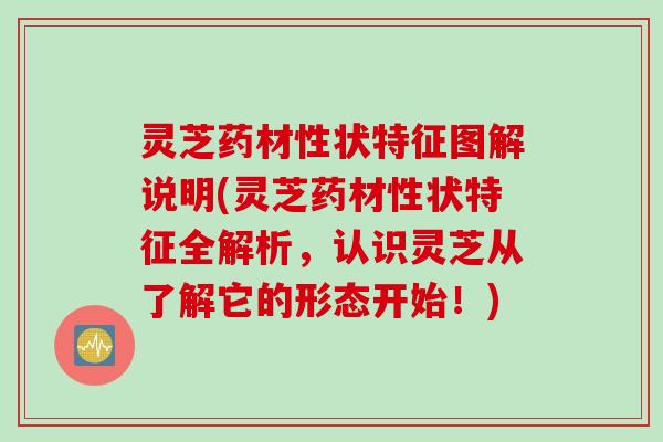 灵芝药材性状特征图解说明(灵芝药材性状特征全解析，认识灵芝从了解它的形态开始！)