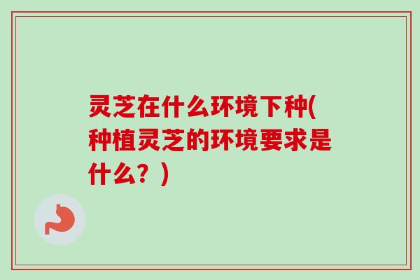 灵芝在什么环境下种(种植灵芝的环境要求是什么？)