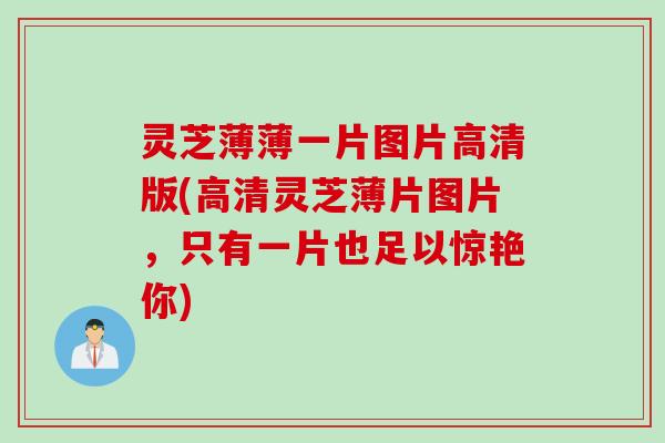 灵芝薄薄一片图片高清版(高清灵芝薄片图片，只有一片也足以惊艳你)