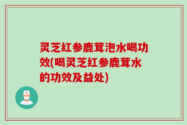 灵芝红参鹿茸泡水喝功效(喝灵芝红参鹿茸水的功效及益处)