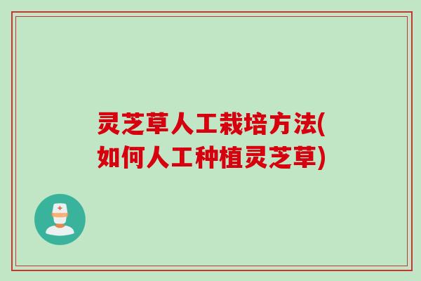 灵芝草人工栽培方法(如何人工种植灵芝草)