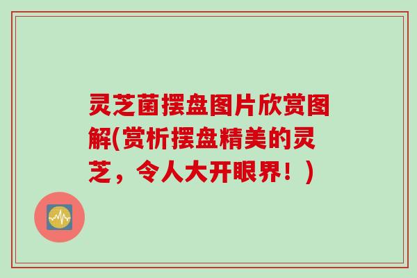 灵芝菌摆盘图片欣赏图解(赏析摆盘精美的灵芝，令人大开眼界！)