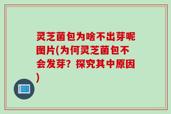 灵芝菌包为啥不出芽呢图片(为何灵芝菌包不会发芽？探究其中原因)