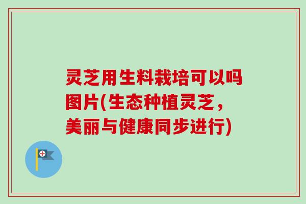灵芝用生料栽培可以吗图片(生态种植灵芝，美丽与健康同步进行)