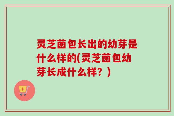 灵芝菌包长出的幼芽是什么样的(灵芝菌包幼芽长成什么样？)