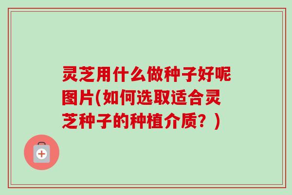 灵芝用什么做种子好呢图片(如何选取适合灵芝种子的种植介质？)