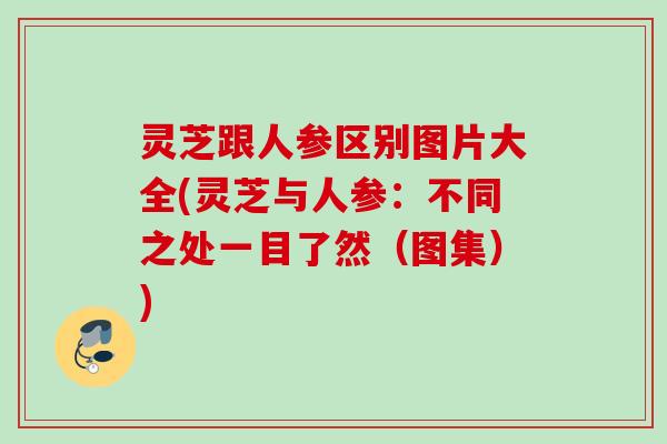 灵芝跟人参区别图片大全(灵芝与人参：不同之处一目了然（图集）)