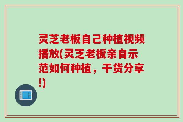 灵芝老板自己种植视频播放(灵芝老板亲自示范如何种植，干货分享!)