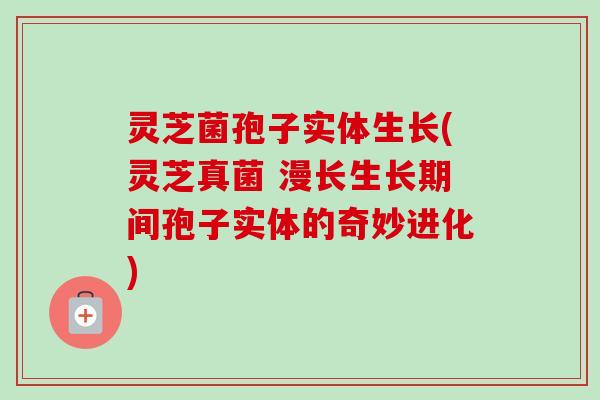 灵芝菌孢子实体生长(灵芝真菌 漫长生长期间孢子实体的奇妙进化)