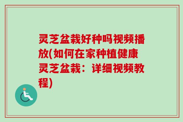 灵芝盆栽好种吗视频播放(如何在家种植健康灵芝盆栽：详细视频教程)