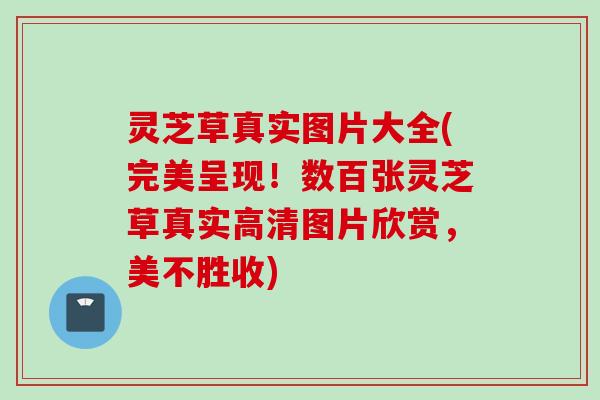 灵芝草真实图片大全(完美呈现！数百张灵芝草真实高清图片欣赏，美不胜收)