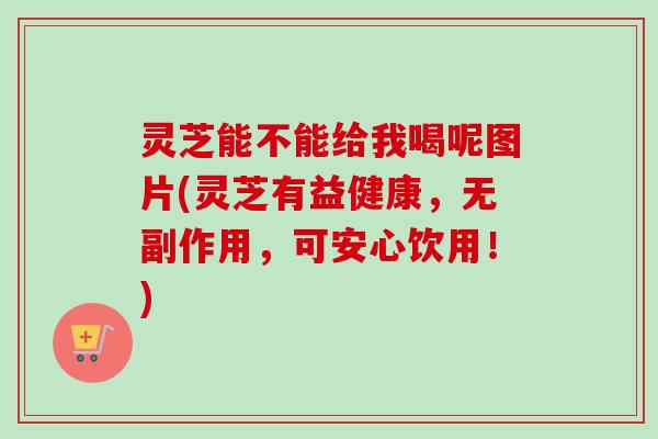 灵芝能不能给我喝呢图片(灵芝有益健康，无副作用，可安心饮用！)