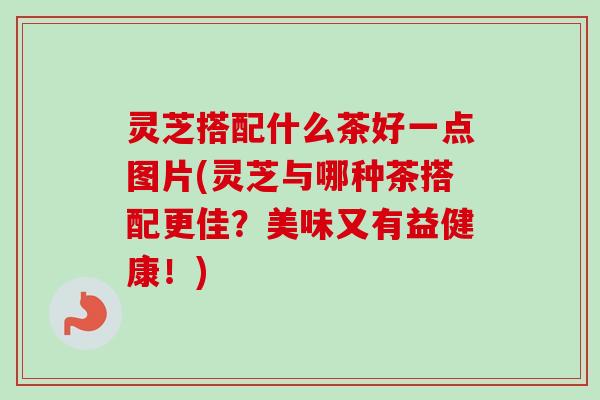灵芝搭配什么茶好一点图片(灵芝与哪种茶搭配更佳？美味又有益健康！)