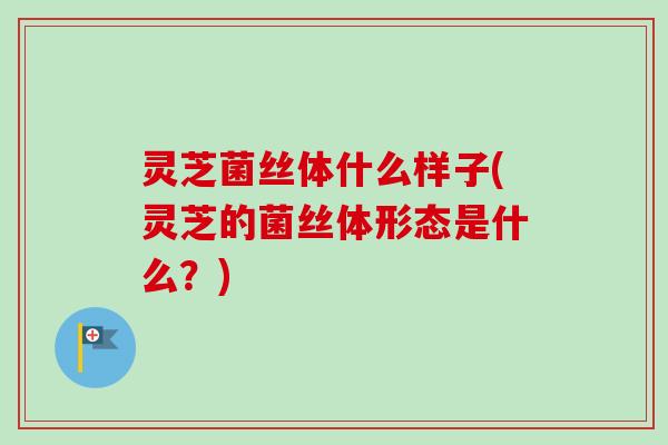 灵芝菌丝体什么样子(灵芝的菌丝体形态是什么？)