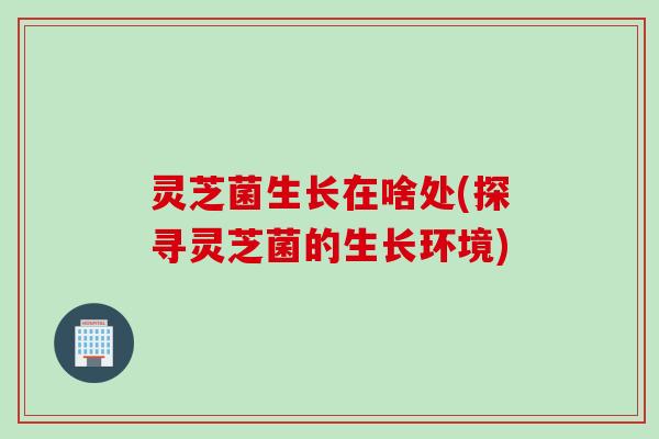灵芝菌生长在啥处(探寻灵芝菌的生长环境)