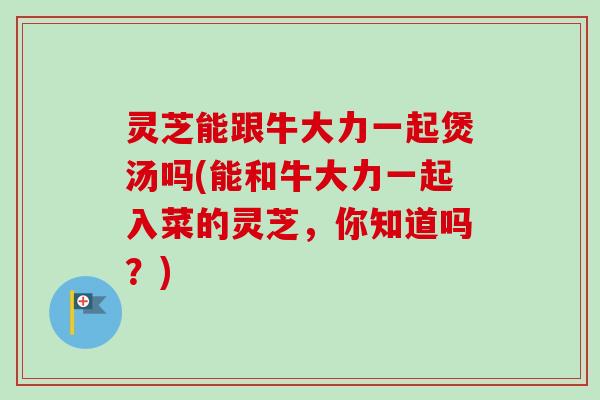 灵芝能跟牛大力一起煲汤吗(能和牛大力一起入菜的灵芝，你知道吗？)
